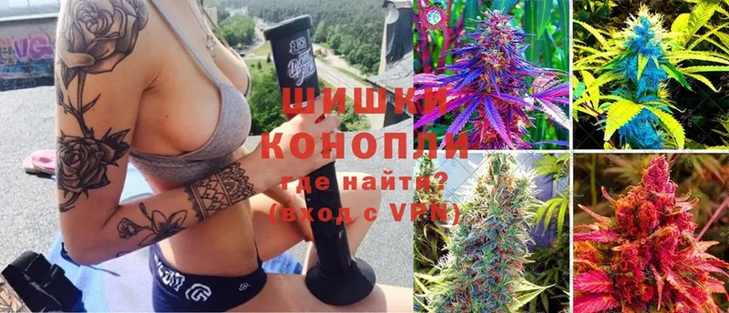 KRAKEN ССЫЛКА  Лодейное Поле  Конопля MAZAR  где купить наркоту 